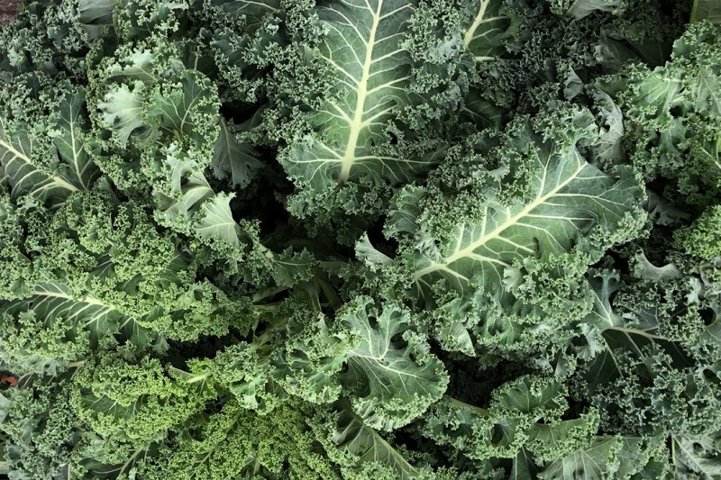 NOUVELLE DES LÉGUMES. GEMÜSE NICHT NUR ALS BEILAGE GloriousMe